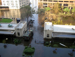 View from within Charity Hospital above its entrance looking down at two military service members wade through floodwaters next to an army transport vehicle and two small inflatable army speed boats. by LSU Health Sciences Center - New Orleans