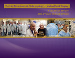 The LSU Department of Otolaryngology – Head and Neck Surgery: A Decade in review and a vision for our future