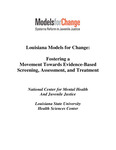 Report: Fostering a Movement Towards Evidence-Based Screening, Assessment, and Treatment